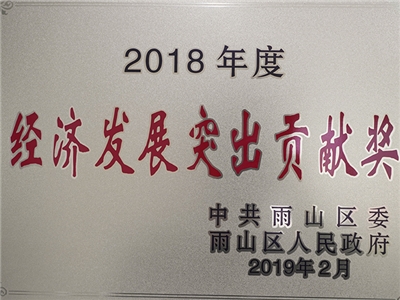 2018年度榮獲經(jīng)濟(jì)發(fā)展突出貢獻(xiàn)獎(jiǎng)